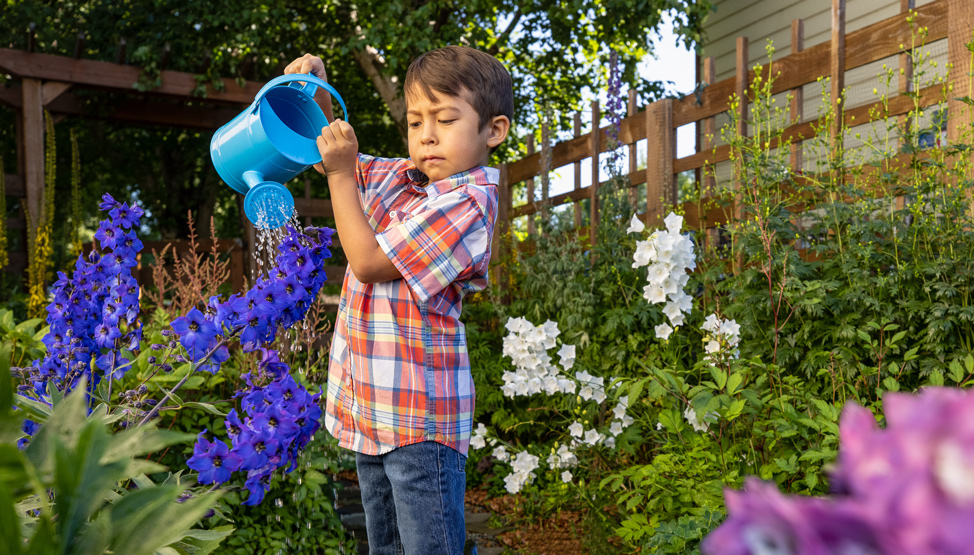 Boy Watering Flowers in Garden